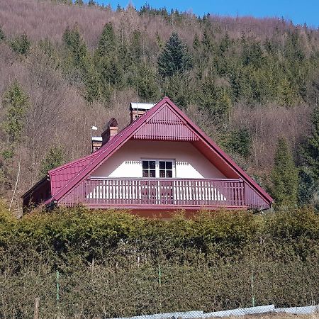 Domek Nad Rzeczka Villa Zabnica Exterior photo